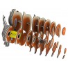 Eugy 3D : Ecureuil