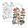 Colouring Gallery, Posters à colorier - Naturaliste