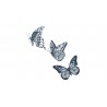 Tatouages Sioou Papillons trio