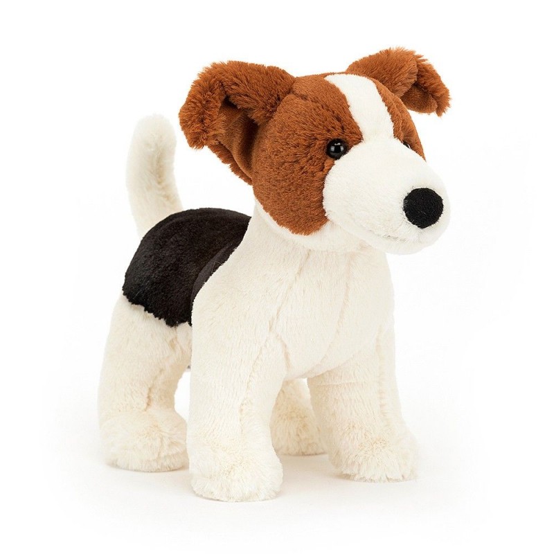 Albert Jack Russell Albert Jack Russell