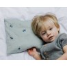 Coussin millet - Myrtilles