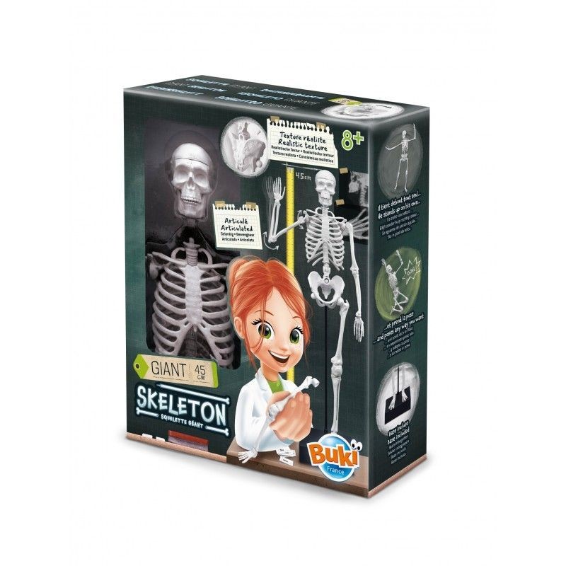 Skeleton 54cm - Squelette géant à assembler Skeleton 54cm - Squelette géant à assembler