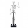 Skeleton 54cm - Squelette géant à assembler