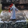 Dumbledore & Fumsek - Harry Potter