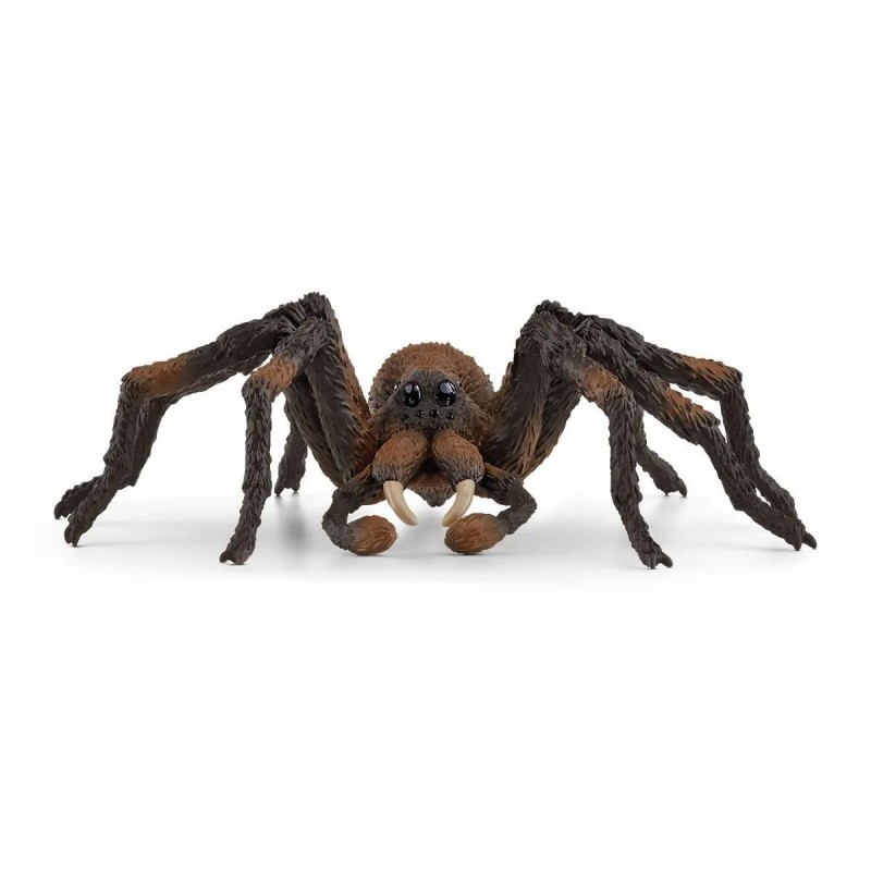 Aragog - Harry Potter Aragog - Harry Potter