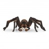 Aragog - Harry Potter