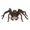 Aragog - Harry Potter