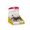 Aragog - Harry Potter