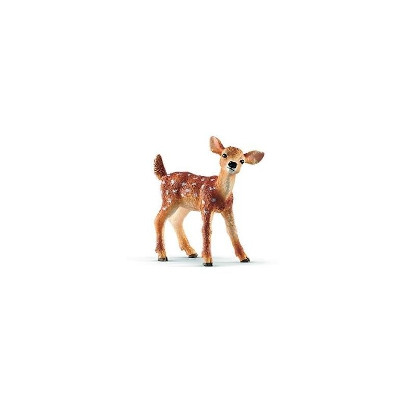 Faon de virginie - Wild Life Faon de virginie - Wild Life