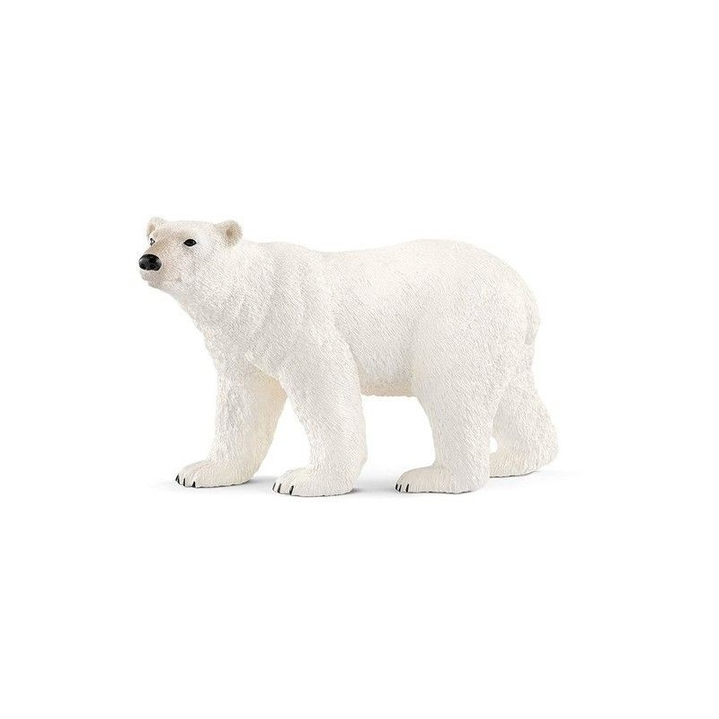 Ours polaire - Wild Life Ours polaire - Wild Life