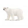 Ours polaire - Wild Life
