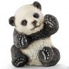 Jeune panda, jouant - Wild Life