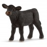 Veau Angus - Farm World
