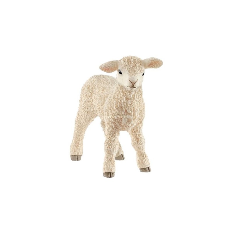 Agneau - Farm World Agneau - Farm World