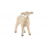 Agneau - Farm World