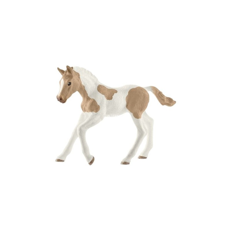 Poulain Paint horse - Horse Club Poulain Paint horse - Horse Club