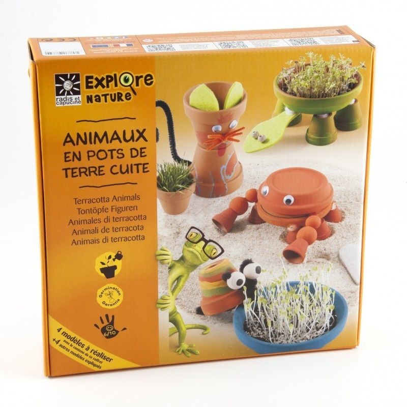 Coffret animaux en terre cuite Coffret animaux en terre cuite