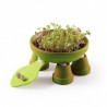 Coffret animaux en terre cuite