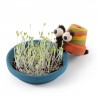 Coffret animaux en terre cuite