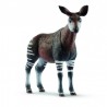 Okapi - Wild life