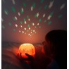 Projecteur lumineux lapins