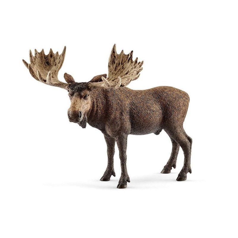 Elan - Wild life Elan - Wild life
